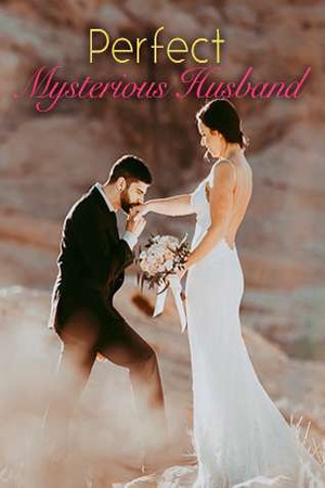 Perfect Mysterious Husband (Maddox and Kimberly)