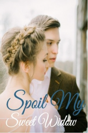 Spoil My Sweet Window novel (Harold and Crystal)