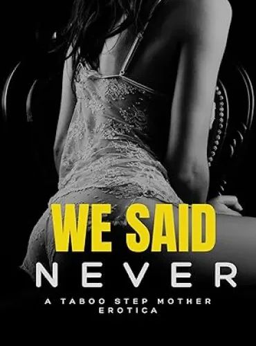 We Said Never: A Taboo Romance